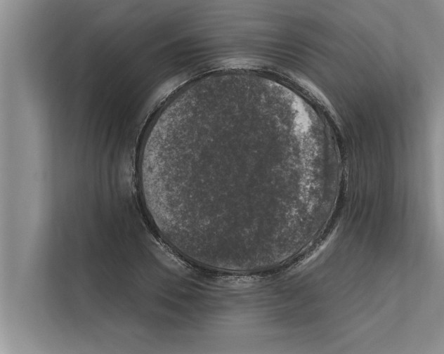 X0000111600930200908271006