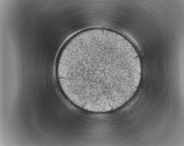 X0000111600932200908271006