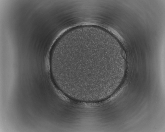 X0000111600934200908271006