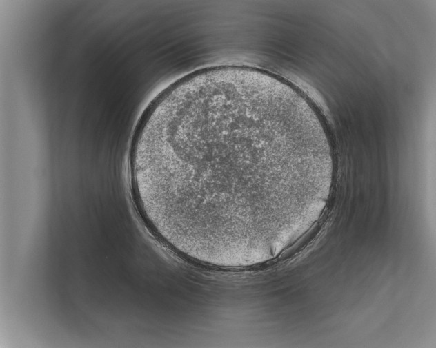 X0000111600936200908271006