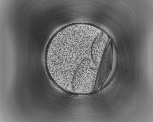 X0000111600942200908271006
