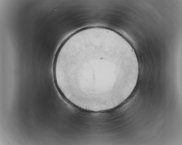 X0000111600943200908271006