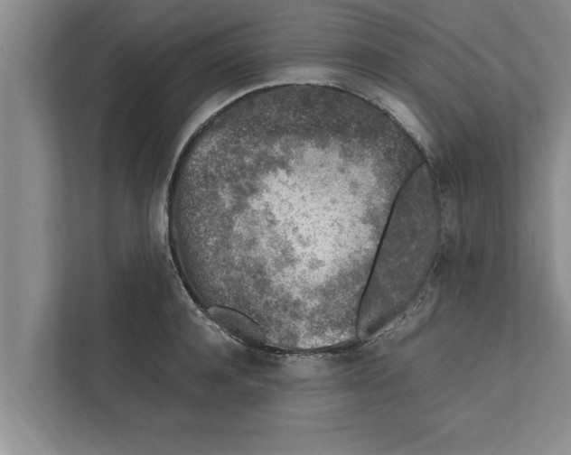 X0000111600944200908271006