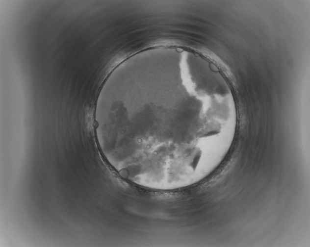 X0000111600945200908271006