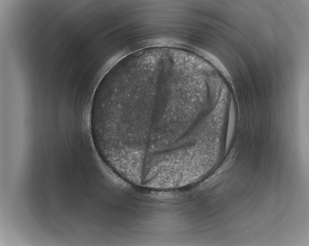 X0000111600946200908271006