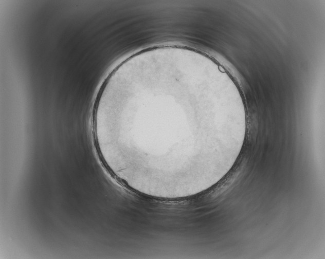X0000111600951200908271006