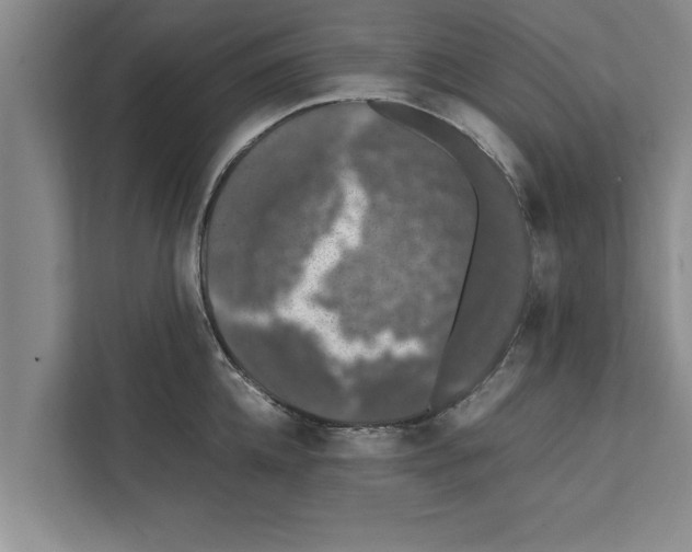 X0000111600952200908271006