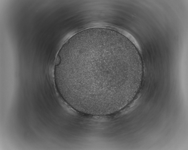 X0000111600954200908271006