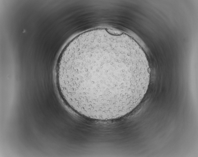 X0000111600955200908271006