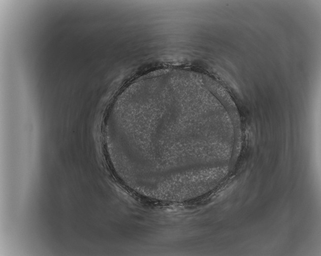 X0000111600961200908271005