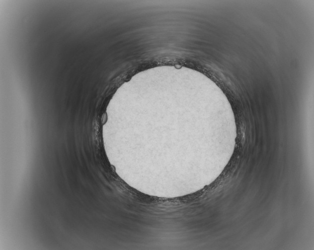 X0000111600964200908271005