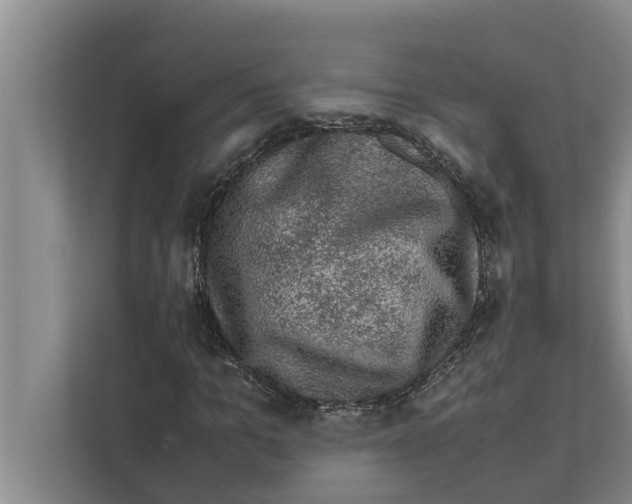 X0000111600965200908271005