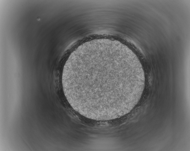 X0000111600968200908271005