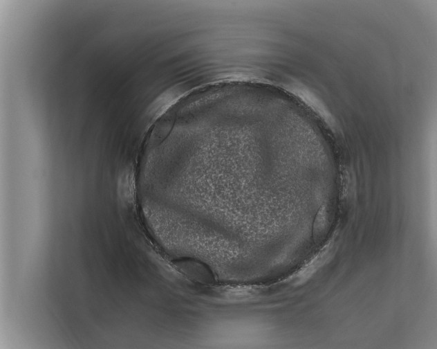 X0000111600969200908271005