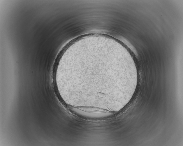 X0000111600972200908271005