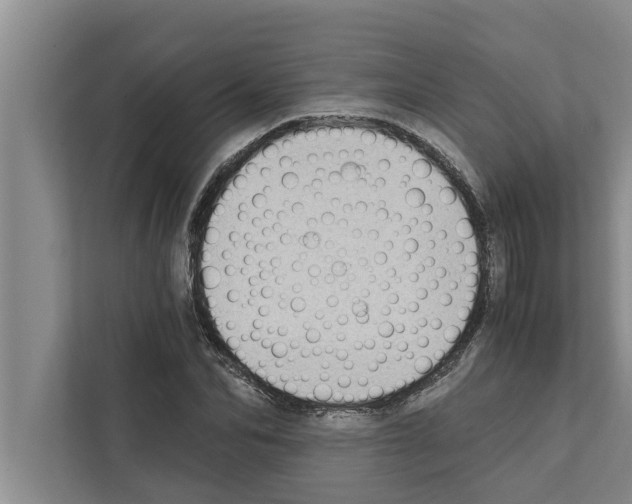 X0000111600974200908271005