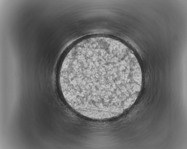 X0000111600975200908271005