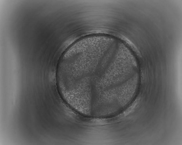 X0000111600977200908271005