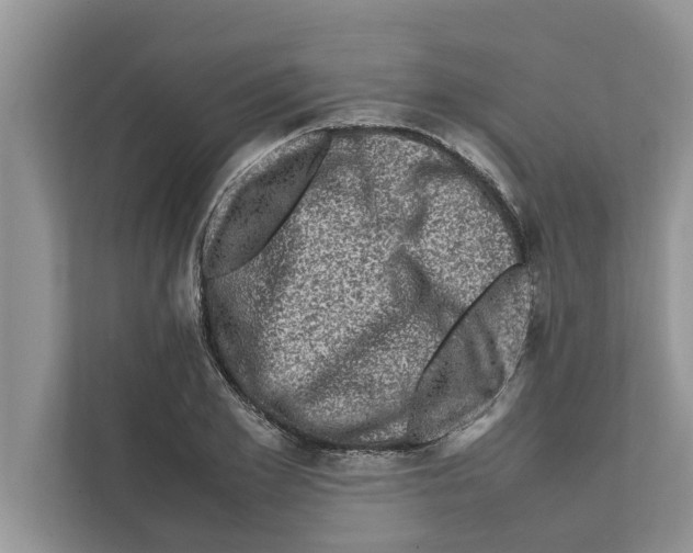 X0000111600981200908271005