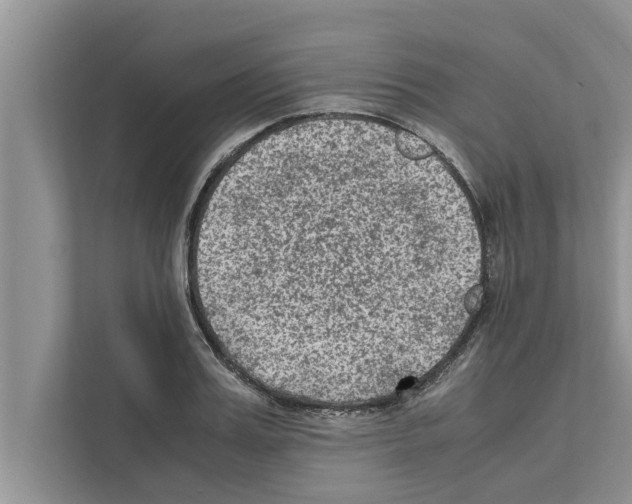 X0000111600987200908271005