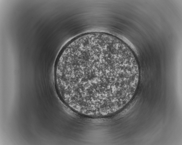 X0000111600988200908271005