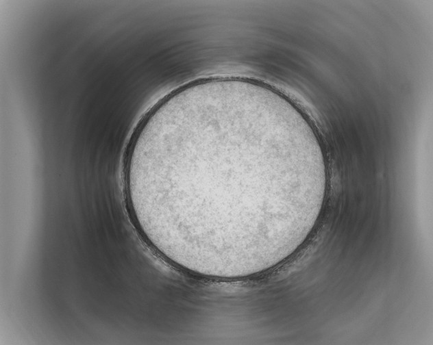 X0000111600990200908271005