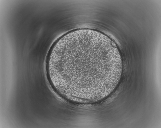 X0000111600991200908271005