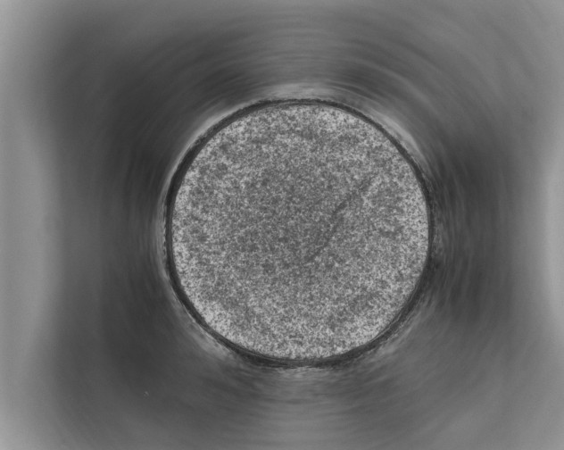 X0000111600992200908271005