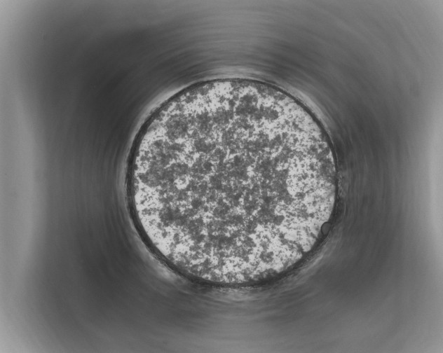 X0000111600995200908271005
