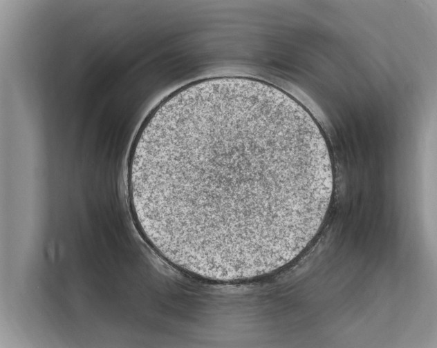 X0000111600996200908271005