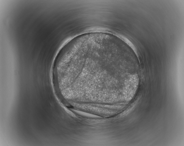 X0000111600997200908271005