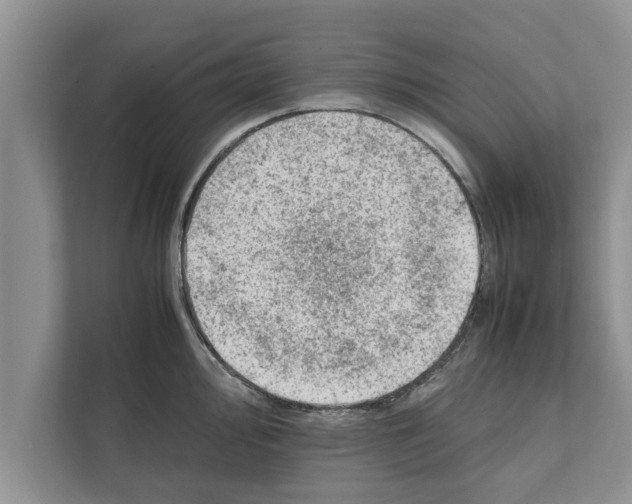 X0000111601000200908271005