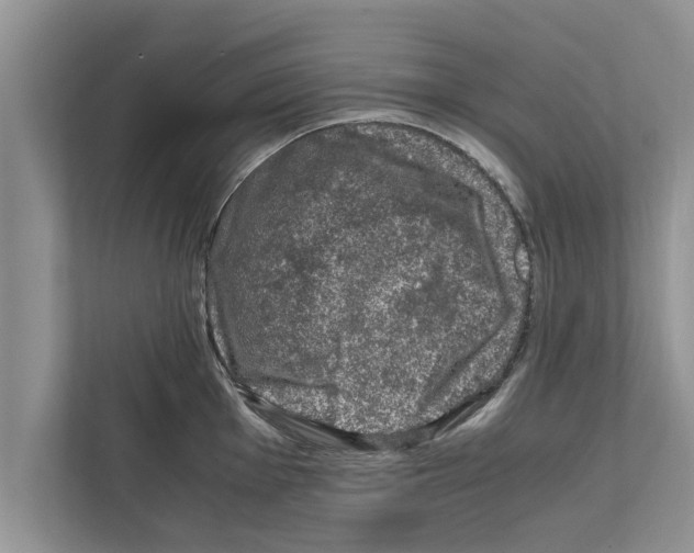 X0000111601001200908271005