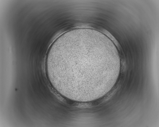 X0000111601002200908271005