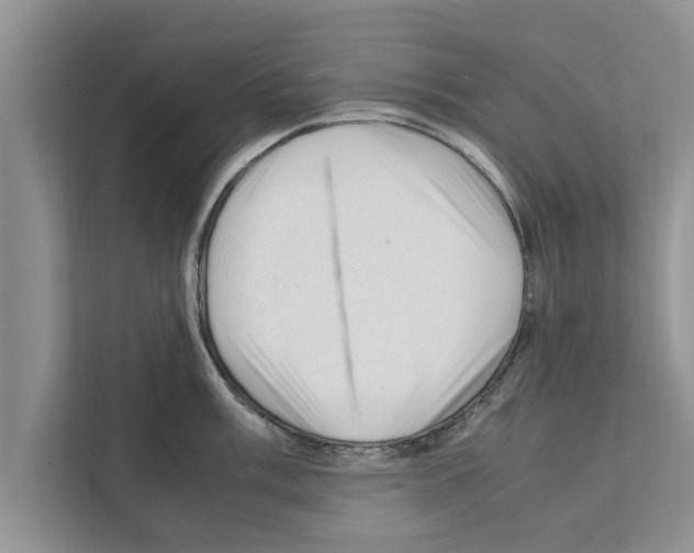 X0000111601003200908271005