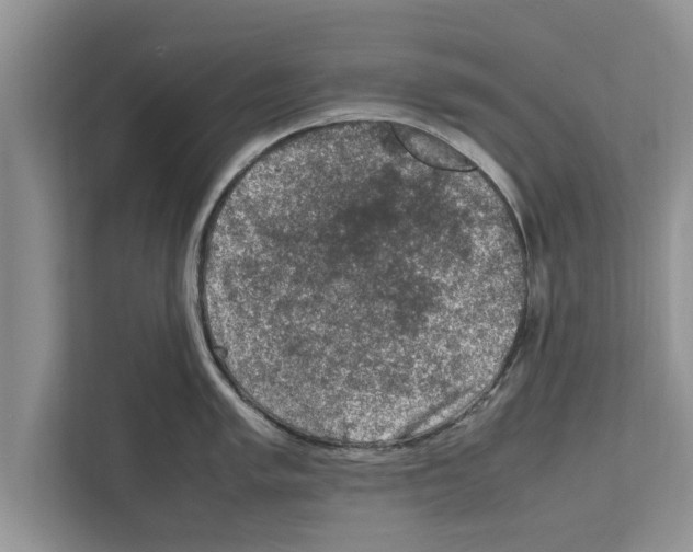 X0000111601005200908271005