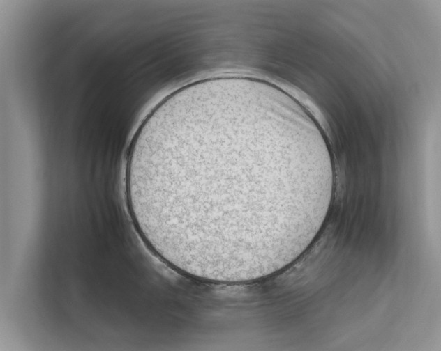 X0000111601006200908271005