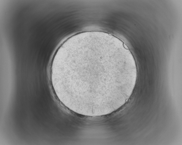 X0000111601008200908271005