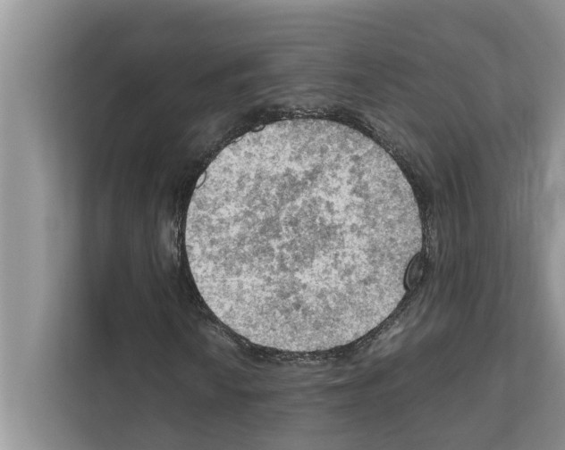 X0000111601010200908271004