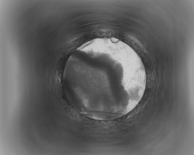X0000111601013200908271004