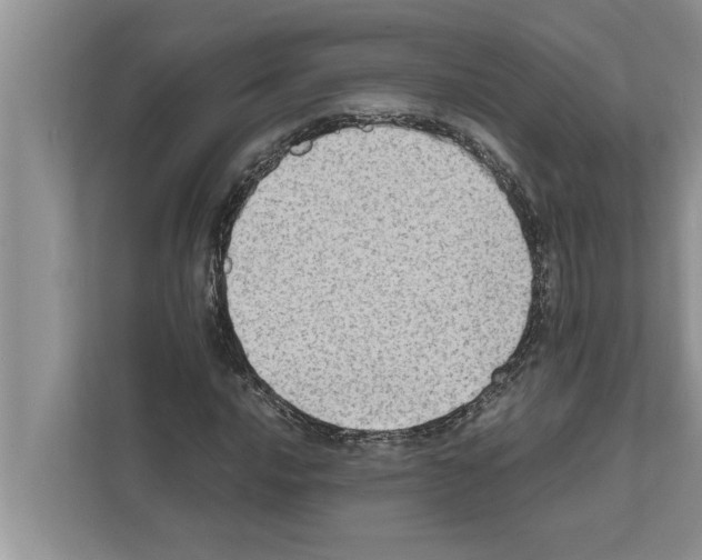 X0000111601016200908271004