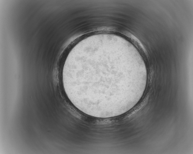 X0000111601019200908271004