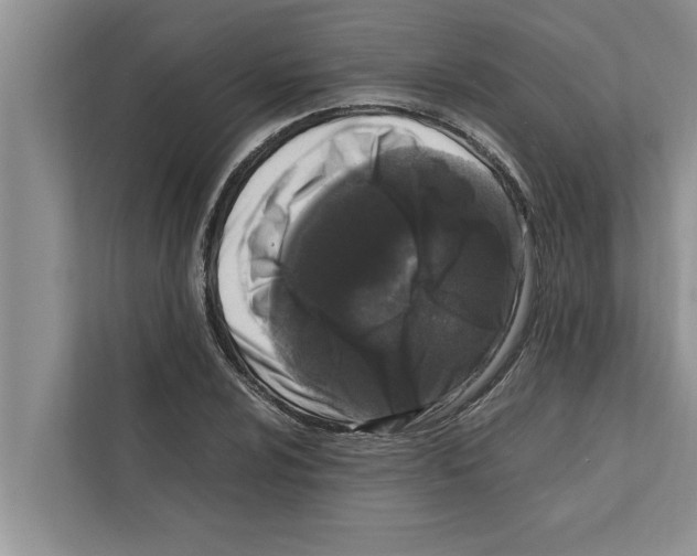 X0000111601024200908271004