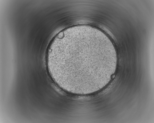 X0000111601026200908271004