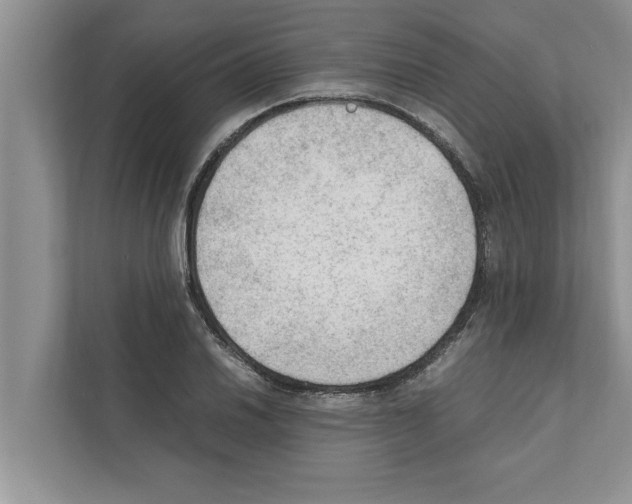 X0000111601030200908271004