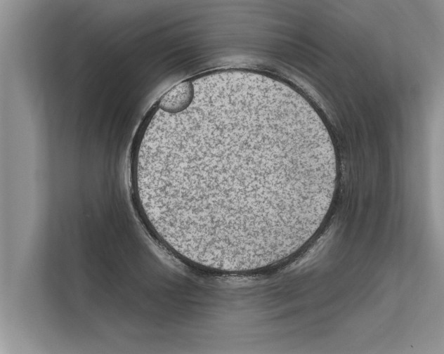 X0000111601034200908271004