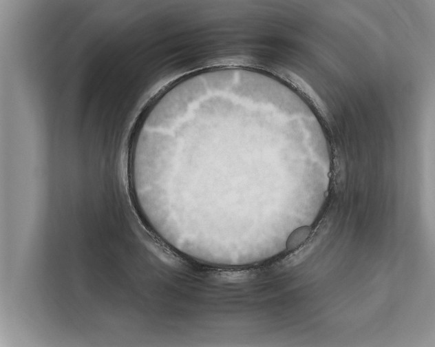 X0000111601035200908271005