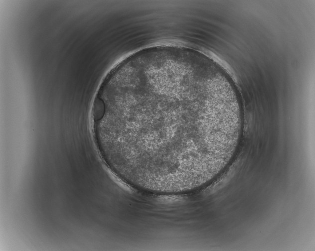 X0000111601037200908271005