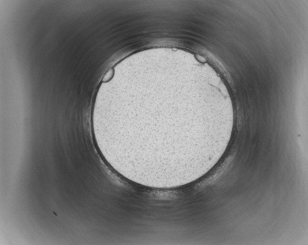 X0000111601041200908271005