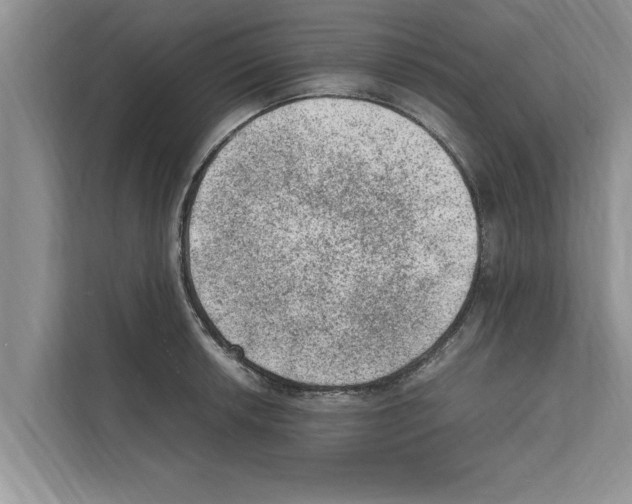 X0000111601042200908271005